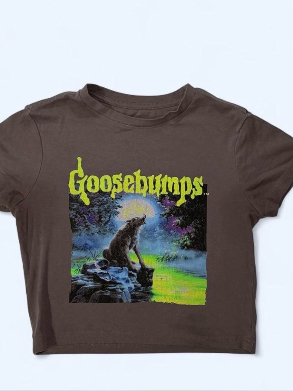 Y2K Goosebumps “Werewolf of Fever Swamp” Graphic Crop Tee in Grey size M
